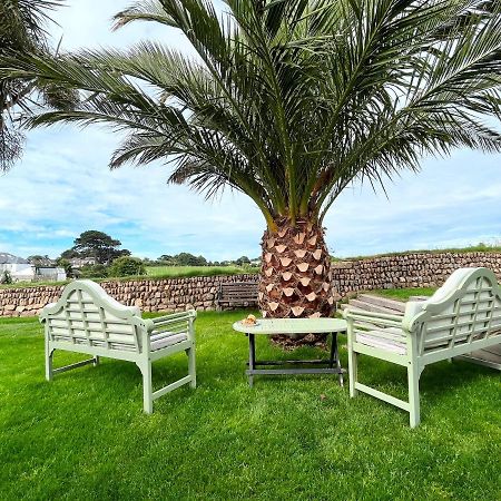 Modern 3 Bed Bungalow With Parking, Private Garden Newlyn Exterior photo